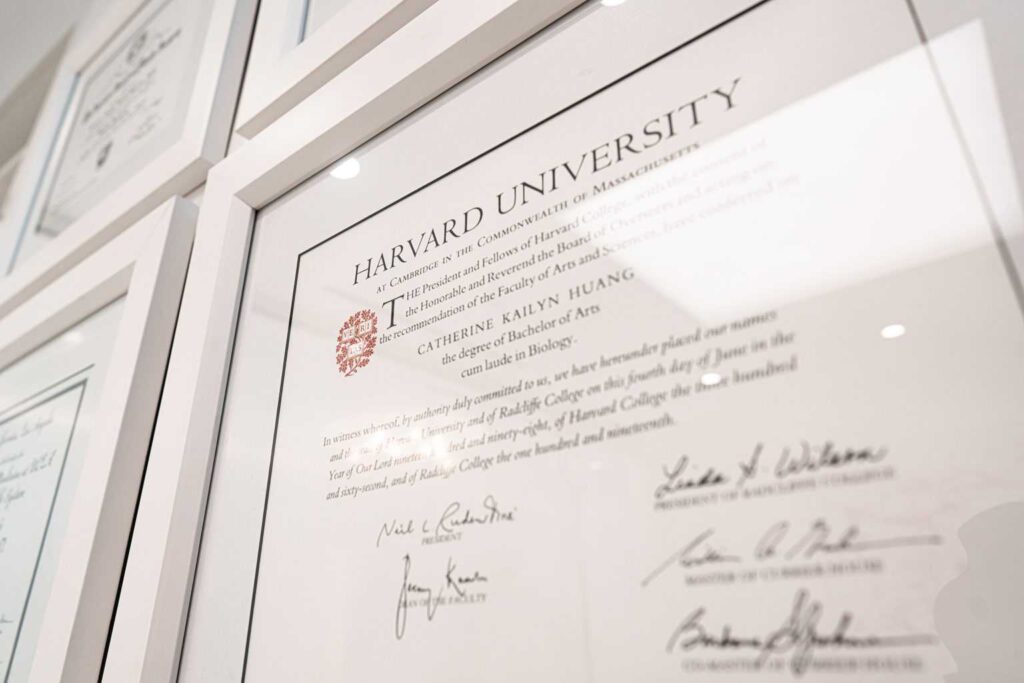 Dr. Cat Begovic's framed Harvard University diploma in the office